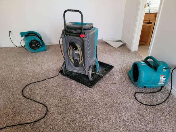 Best Flooded house restoration  in Waverly, OH