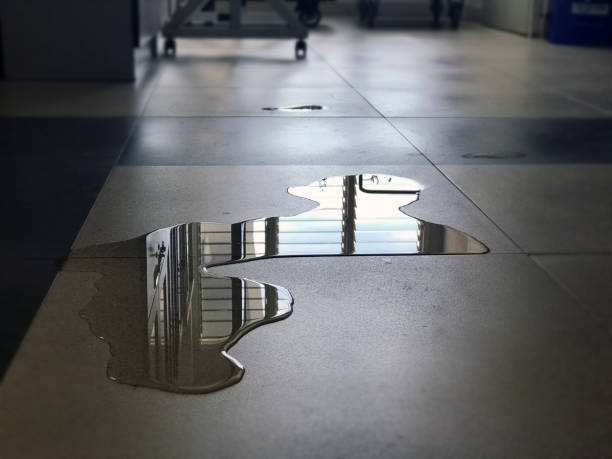 Best Water damage restoration near me  in Waverly, OH