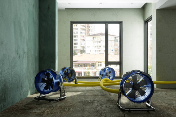 Best Water damage restoration near me  in Waverly, OH